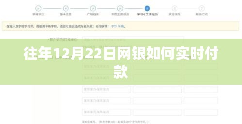 網(wǎng)銀實(shí)時付款指南，歷年12月22日操作流程解析