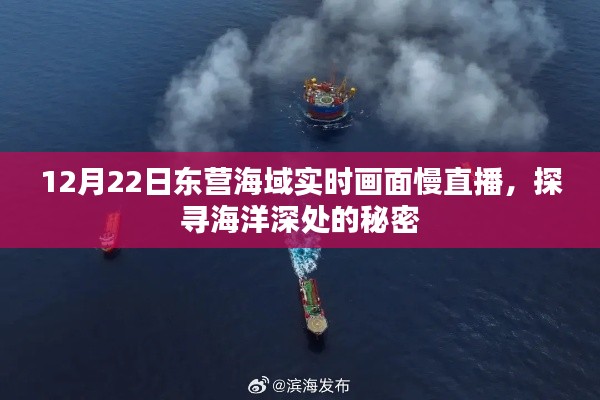 探尋海洋秘密，東營(yíng)海域?qū)崟r(shí)畫面慢直播開啟