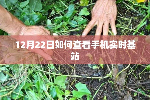 12月22日手機(jī)實(shí)時(shí)基站查看指南