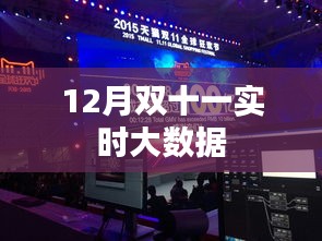 雙十一實(shí)時(shí)大數(shù)據(jù)揭秘，12月購物狂歡節(jié)盛況