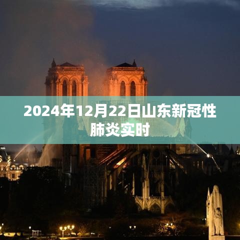 山東新冠性肺炎實(shí)時動態(tài)更新 2024年12月最新消息