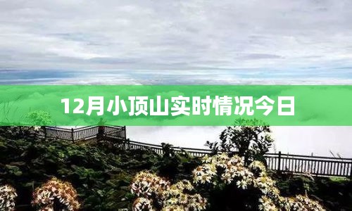 小頂山最新實時動態(tài)，今日概況
