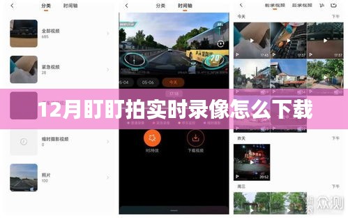 盯盯拍12月實(shí)時(shí)錄像下載攻略