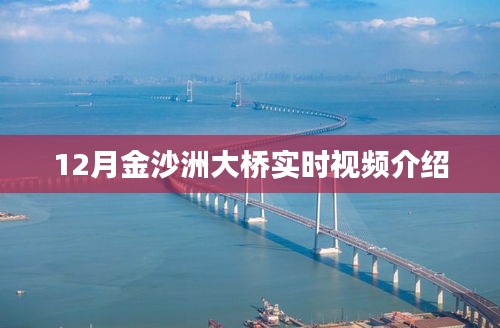 金沙洲大橋?qū)崟r視頻觀察，12月交通實況解析