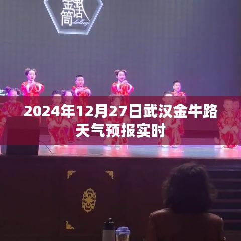 武漢金牛路天氣預(yù)報實時更新（時間精確到日）