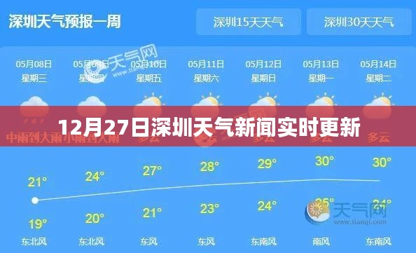 馬虎從事 第3頁
