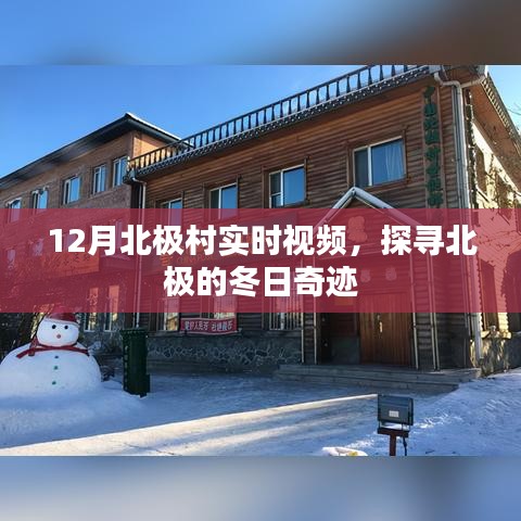 北極村冬季實(shí)時(shí)視頻，探尋冬日奇跡