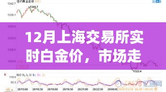 上海交易所白金實時行情分析及投資建議