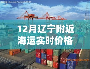 遼寧附近海運最新實時價格查詢