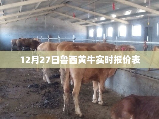 魯西黃牛最新實(shí)時(shí)報(bào)價(jià)表（12月27日）