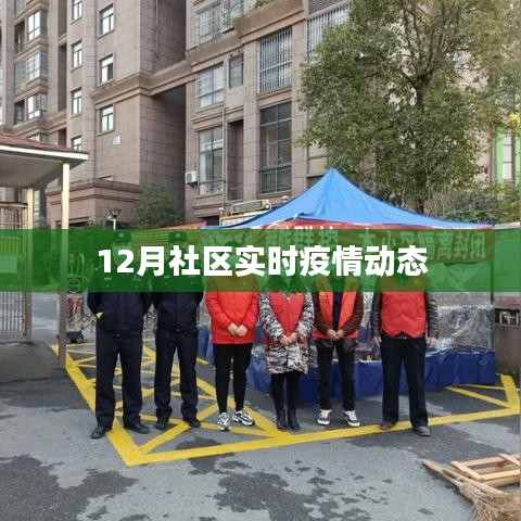 社區(qū)疫情動(dòng)態(tài)實(shí)時(shí)更新（十二月版）