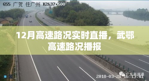 最新路況播報