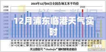 浦東臨港天氣預(yù)報(bào)實(shí)時(shí)查詢