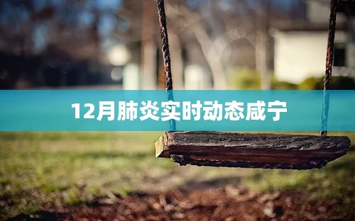 咸寧地區(qū)肺炎實(shí)時(shí)動(dòng)態(tài)報(bào)告，12月最新情況分析