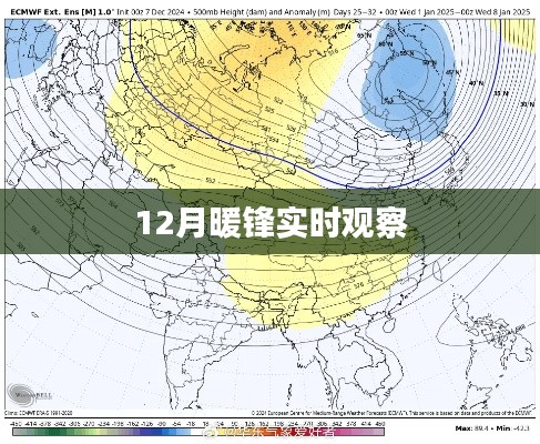 暖鋒觀察，揭秘十二月最新動態(tài)
