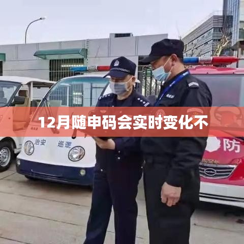 隨申碼實時變化情況解析，12月最新動態(tài)