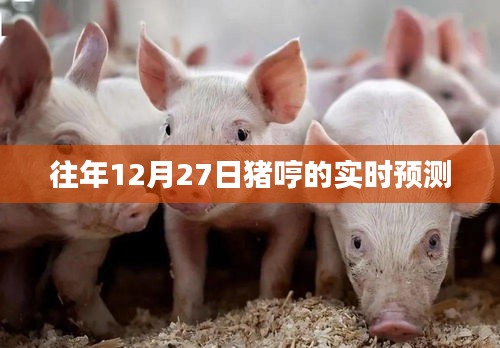 豬哼歷年12月27日實(shí)時(shí)預(yù)測(cè)分析