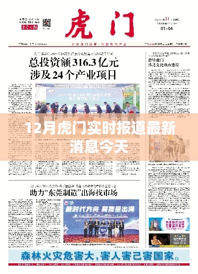12月虎門最新消息今日實時報道