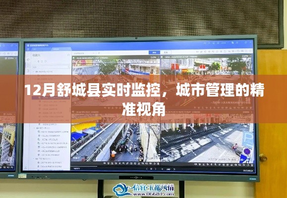 舒城縣城市管理精準(zhǔn)視角，實(shí)時(shí)監(jiān)控助力城市治理