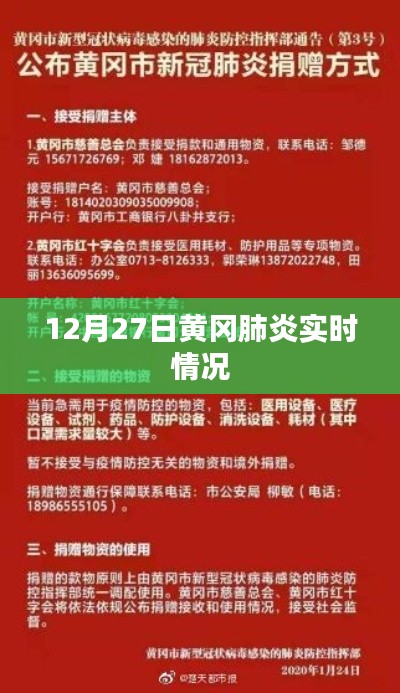 黃岡肺炎實(shí)時(shí)情況報(bào)告，最新數(shù)據(jù)發(fā)布