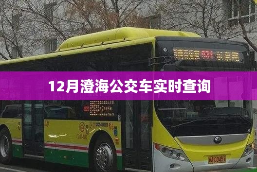 片口張舌 第2頁(yè)