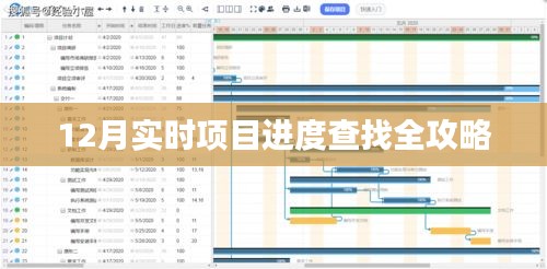 12月項(xiàng)目進(jìn)度查詢(xún)?nèi)ヂ?，?shí)時(shí)追蹤，輕松掌握