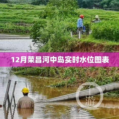 榮昌河中島實(shí)時(shí)水位圖表（動(dòng)態(tài)更新）