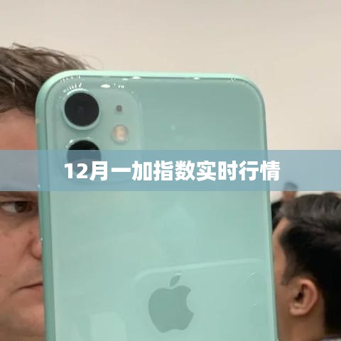 12月一加指數(shù)最新實(shí)時(shí)行情分析