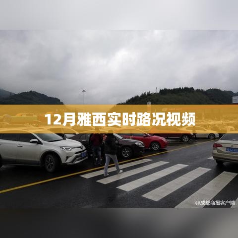 雅西實時路況視頻播報