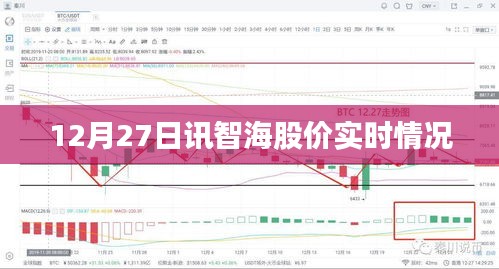 智海股份股價(jià)實(shí)時(shí)動(dòng)態(tài)（最新數(shù)據(jù)）