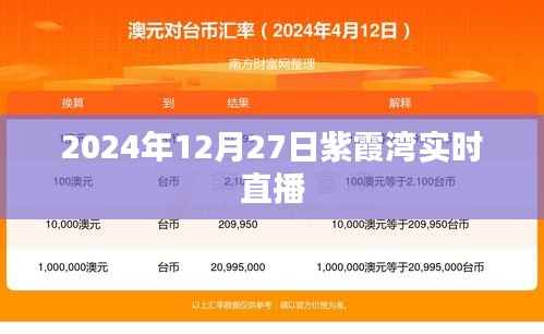 紫霞灣直播盛典，揭秘2024年12月27日盛況