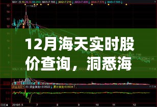 海天實(shí)時(shí)股價(jià)查詢，洞悉最新動(dòng)態(tài)