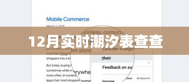 最新潮汐表查詢，掌握潮汐動態(tài)