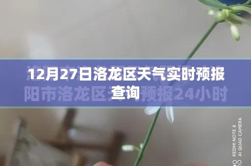 洛龍區(qū)天氣預報查詢，最新實時天氣信息