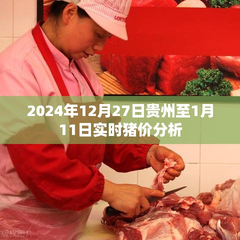 貴州至一月實(shí)時(shí)豬價(jià)分析，2024年預(yù)測報(bào)告