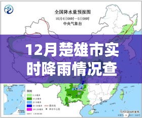 楚雄市最新降雨情況查詢報(bào)告
