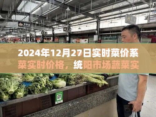 2024年菜價實時更新系統(tǒng)，最新菜價查詢