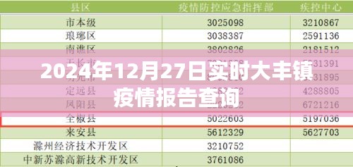 大豐鎮(zhèn)疫情報(bào)告實(shí)時(shí)查詢（最新更新至2024年）