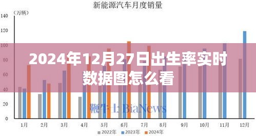 如何解讀2024年12月27日出生率實時數據圖