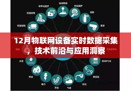 12月物聯(lián)網(wǎng)設備實時采集技術，應用洞察與前沿探索