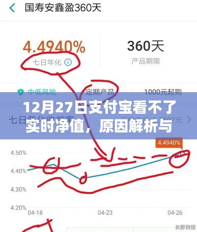 支付寶實(shí)時凈值無法查看，原因解析及應(yīng)對方法