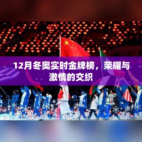 冬奧金牌榜，榮耀與激情的碰撞