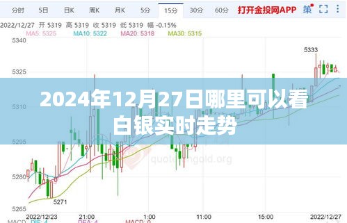 白銀實時走勢查詢，最新行情動態(tài)跟蹤