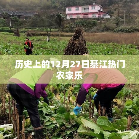 綦江熱門(mén)農(nóng)家樂(lè)歷史回顧，12月27日這一天