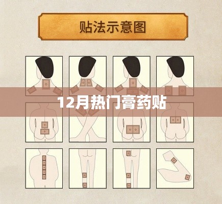 12月熱門膏藥貼，緩解疼痛新選擇