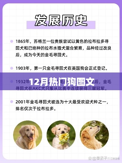 12月熱門狗狗圖文大賞