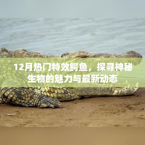 學貫中西 第3頁