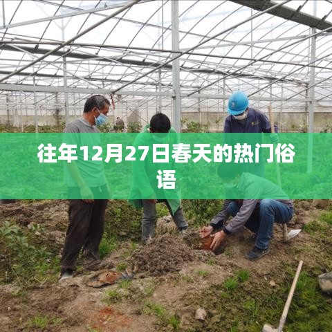 往年12月27日春天的俗語(yǔ)熱點(diǎn)