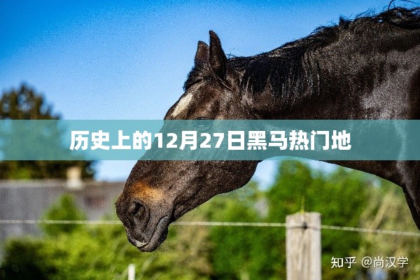 歷史上的黑馬熱門地，揭秘十二月二十七日的秘密