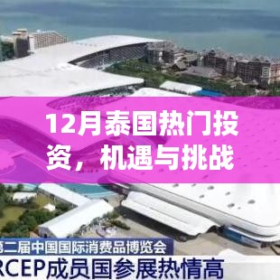 泰國十二月投資熱點分析，機遇與挑戰(zhàn)并存的投資領域探討